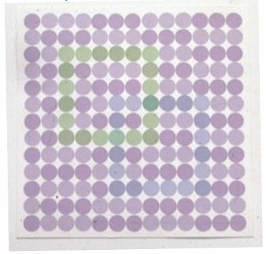 <p>F2 plate may detect <strong>tritan defects</strong>.</p><p><strong>Normal colour vision:</strong></p><ul><li><p>sees 2 squares in correct location</p></li><li><p>green clearer/more defined than blue</p></li></ul><p><strong>Possible tritan error:</strong></p><ul><li><p>only sees blue, or blue is clearer</p></li></ul><p><strong>Not tritan error:</strong></p><ul><li><p>only sees green</p></li></ul><p></p>