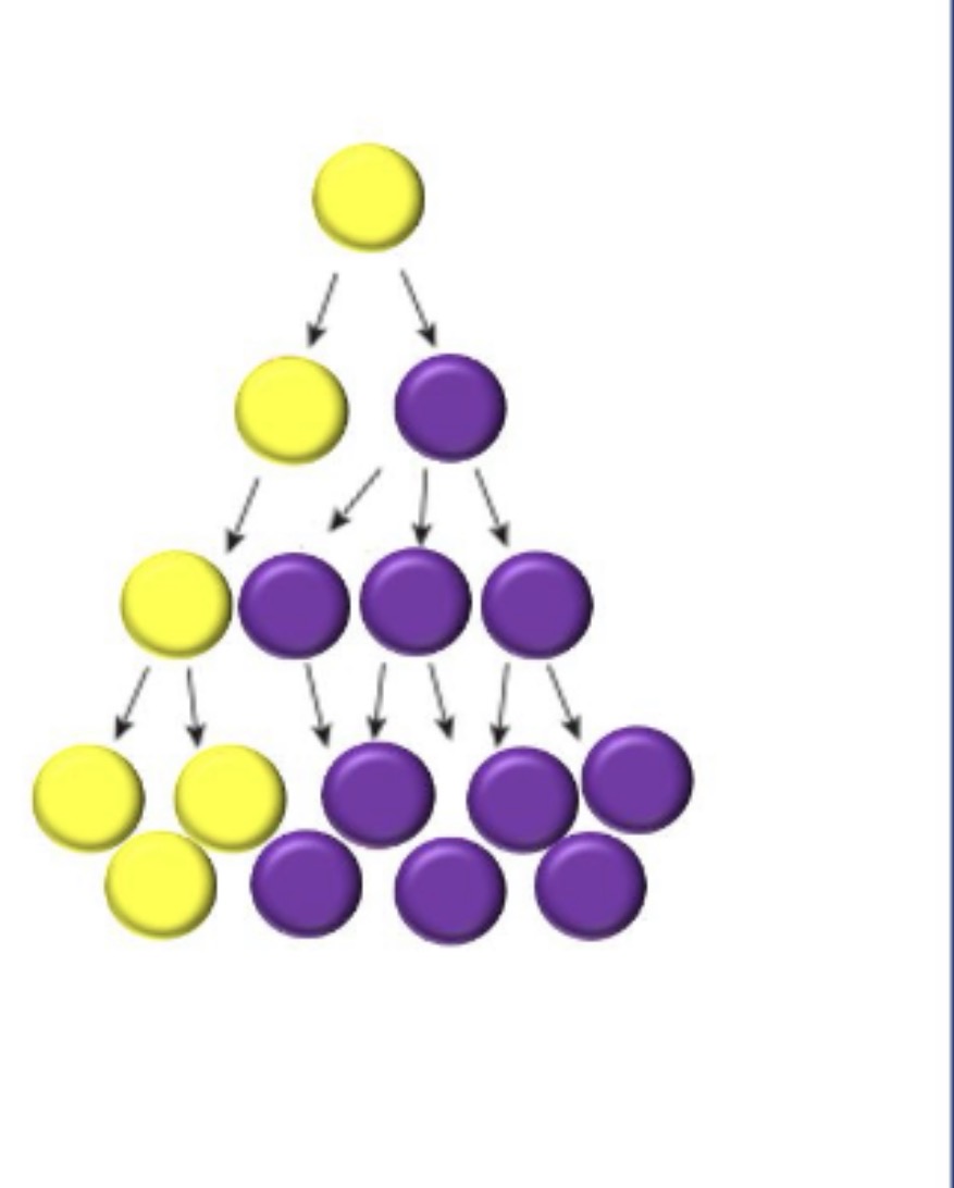 <p>What should be the expected result if a cell in the body began to reproduce faster than other cells?</p><p>A. That cell type would become overrepresented in the body<br>B. The body would be killed<br>C. Both</p>