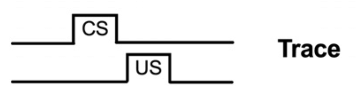 <p>NS/CS is introduced and then removed, with a small break before the US appears (Bad because there’s too much time in between)</p>