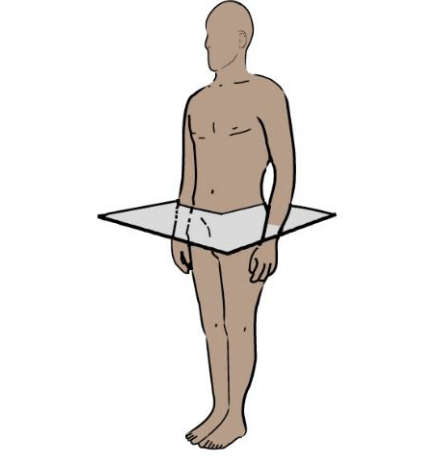 term image