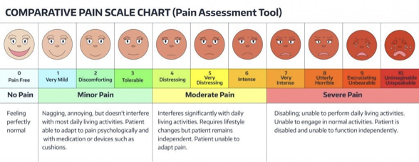 <p>Pain Receptor/Nociceptors</p>