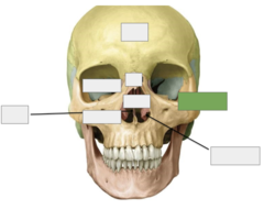 <p>This is the</p>