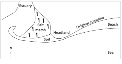 <p><strong>How is a spit formed?</strong></p><ol><li><p>LSD transports sediments along the coast</p></li><li><p>Coastline changes [ ] or reaches an [ ], but LSD continues to carry sediment out to sea</p></li><li><p>[ ] occurs as waves lose energy, building up a ridge of sand/shingle [1 ] [2 ] [3 ] [4 ]</p></li><li><p>Spit [ ] [ ] as more sediment is deposited by LSD</p></li><li><p>End of the spit may [ ] due to changes in [ ] or [ ] direction</p></li></ol><p></p>