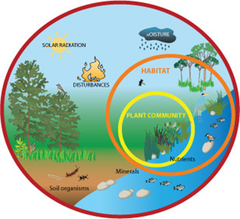 <p>A community of interacting organisms (biotic factors) and their physical environment (abiotic factors).</p>