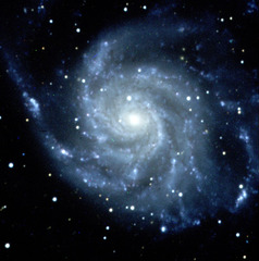 <p>star</p>