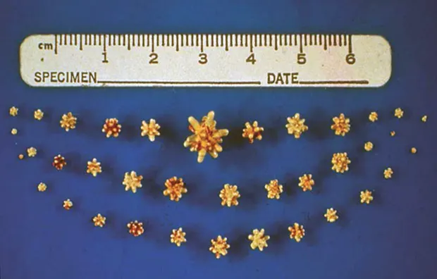 <p>what is this?</p>