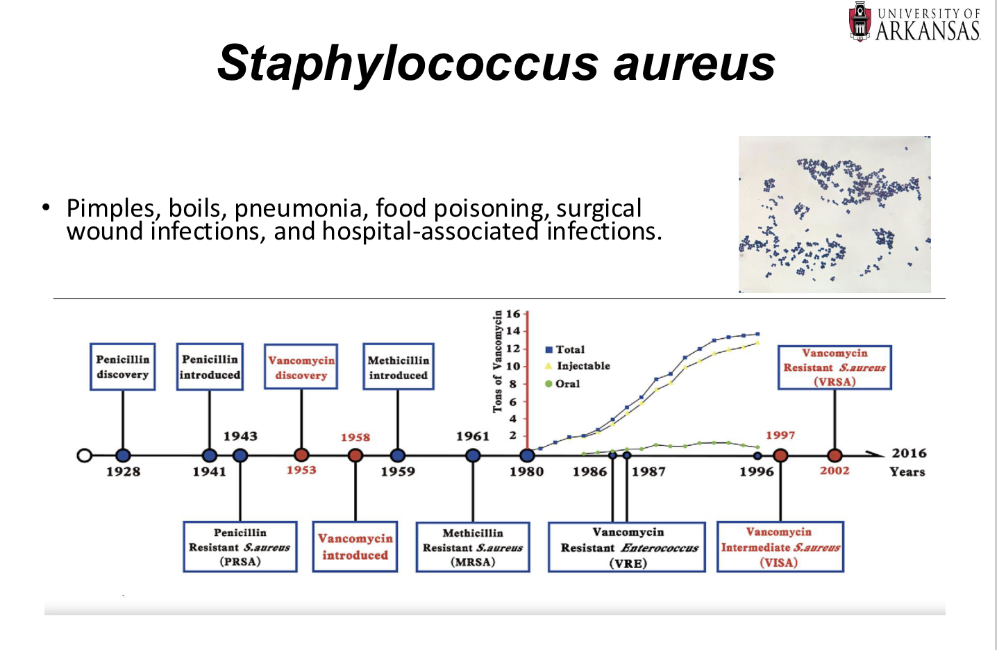 <p><span style="font-size: calc(var(--scale-factor)*12.00px);">Know the Staphylococcus aureus antibiotic-resistance story of the last 100 years.</span></p>