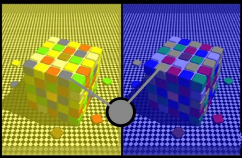 <p>sometimes habituation cannot occur because there is a the same amount of blue and yellow</p><p>IE: if the patch is illuminating grey under a yellow light, it must be blue! says our eyeballs</p><p>EG THE BLUE AND BLACK DRESS, there were not enough visual cues in the image so different people were discounting different illuminates</p>