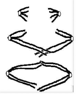 <p>Describe what is happening to the chromosomes at the stage shown in <strong>Figure 2</strong> (2) </p>