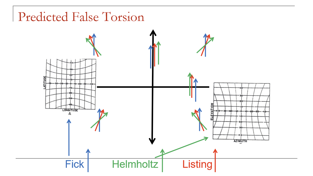 <ul><li><p>It matches torsion predicted by the Listing coordinate system</p></li><li><p>Can be defined as the difference between observed torsion and Listing-predicted torsion</p></li></ul><p></p>