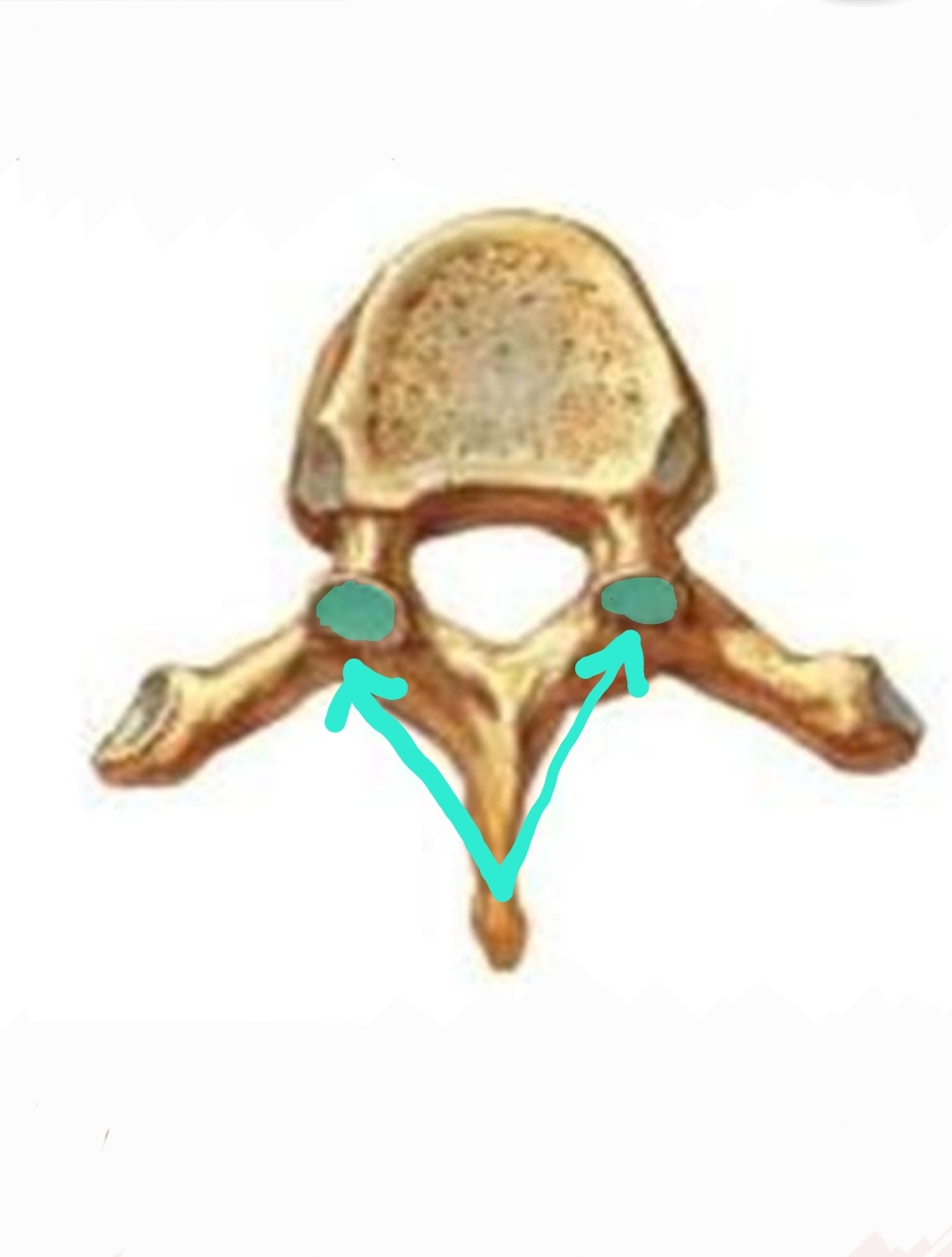 <p>Qual é o nome?</p>