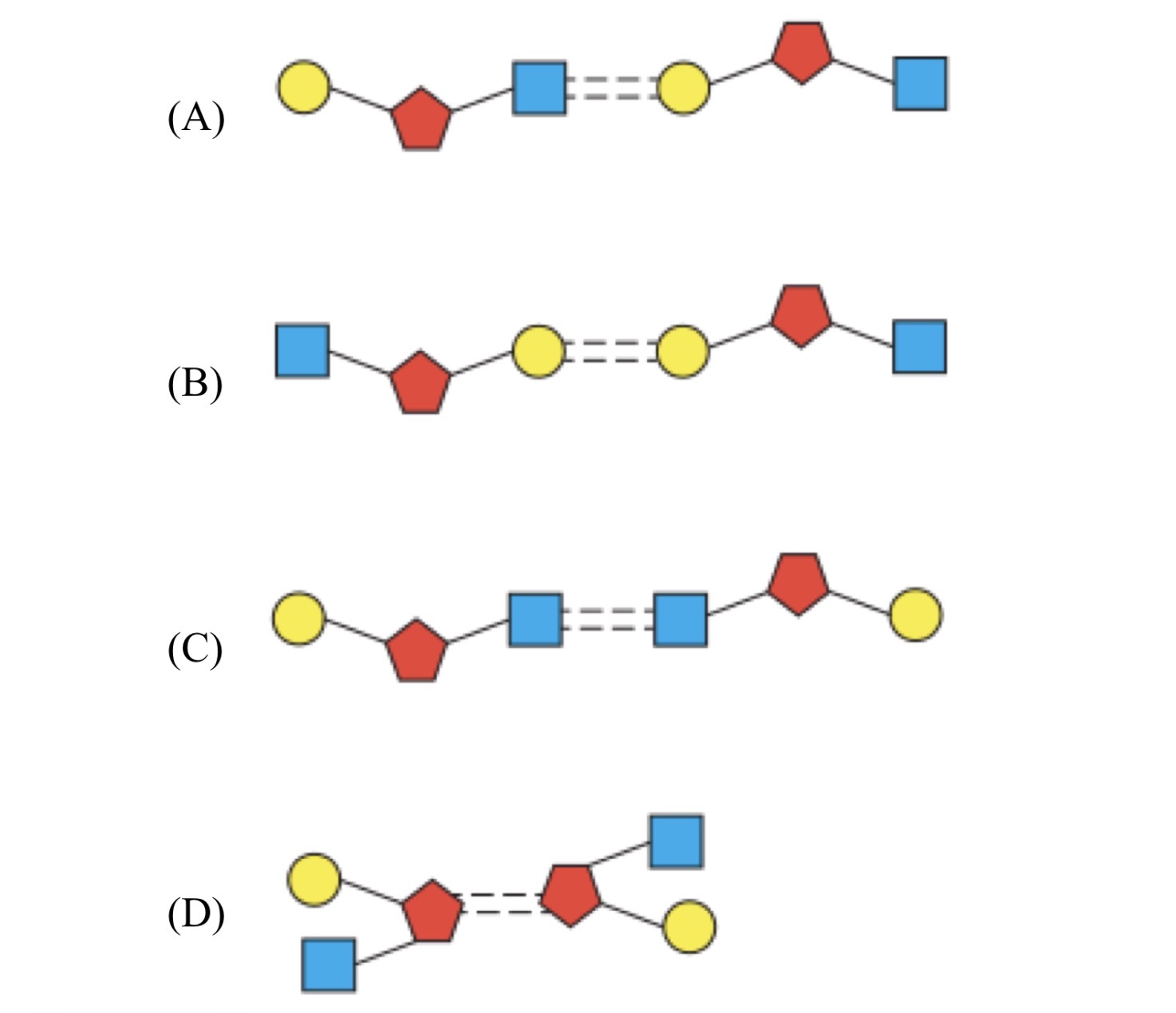 <p>Which of the following models best represents the pairing between nucleotides located on the two complementary strands of a DNA molecule</p>