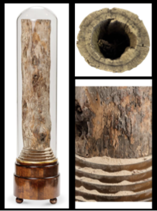 Tue Greenfort, Conservation, 2011.