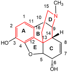 <p>The general structural features required for mu receptor activity include:</p>