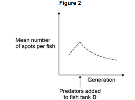 <p>Guppies are small fish with brightly coloured spots on their body. The number of spots on a guppy is controlled by genes. A scientist investigated guppy breeding in a large population of guppies in a fish tank. The fish tank contained brightly coloured stones. After each generation of breeding, she counted the number of spots on every guppy</p><p>The scientist repeated the investigation of guppy breeding in an identical fish tank, but added predators of the guppies into the fish tank at the fourth generation of breeding.</p><p><strong>Figure 2</strong> shows her results.</p><p>Name the type of selection the scientist investigated in this fish tank. Explain why this selection affected the frequency of alleles in the population of guppies in this fish tank. (4) </p>