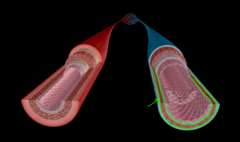 <p>What structure is this?</p>