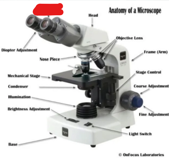 <p>what is it</p>