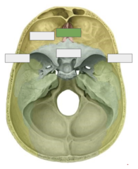 <p>This is the</p>