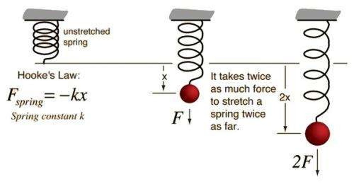 <p>F= -kx</p><p>Force applied to the spring = -(spring constant) x (displacement of the spring)</p><p>Note: the negative sign means that the force exerted by the spring opposes the spring's displacement</p><p>https://www.khanacademy.org/science/ap-physics-1/ap-work-and-energy/spring-potential-energy-and-hookes-law-ap/v/intro-to-springs-and-hooke-s-law</p>