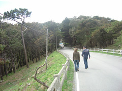 <p>to take a walk</p>