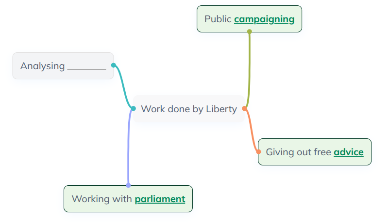 <p><strong>Civil Liberty Pressure Groups</strong></p>