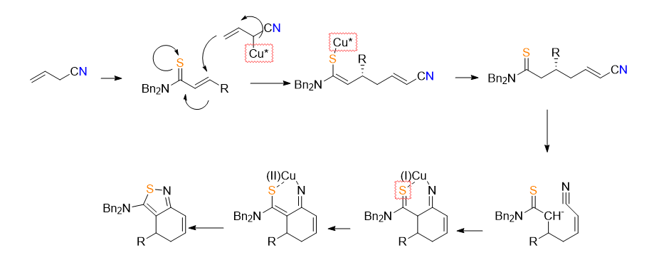 <ol><li><p>Allyl cyanide acts as the <strong>pronucleophile</strong>. The base deprotonates the carbon next to the nitrile group, because this proton is relatively acidic due to stabilization by the nitrile. The carbanion is captured by the Cu catalyst.</p></li><li><p>The Cu(I) catalyst, with a chiral ligand, coordinates to the <strong>soft sulfur atom</strong> of the thioamide. This activates the conjugated thioamide system toward Michael-type attack and places it in a chiral environment.</p></li><li><p>The deprotonated allyl cyanide then adds via the allyl group to the <strong>β-position</strong> of the α,β-unsaturated thioamide. Because the electrophile is bound in the chiral Cu complex, one face is favoured, giving the product with high enantioselectivity.</p></li><li><p>Copper then helps the cyclisation by coordinating to the <strong>thioamide sulfur</strong> and also activating the <strong>nitrile</strong>. This makes the nitrile more electrophilic and brings the reacting groups into the correct orientation.</p></li><li><p>next the postiion alpha to the thioamide is deprotonated which attacks on the nitrile</p></li><li><p>the cu complexes between the imine and sulfur, this is o<strong>xidized under influence of air cu(II) and the thione isomerizes to the thioenol</strong></p></li><li><p>the Cu complex can then undergo reductive elimination to form the isothiazole</p></li></ol><p></p>