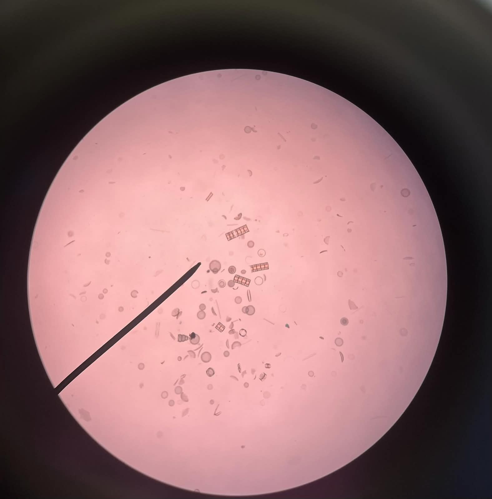 <p>What is this?</p>