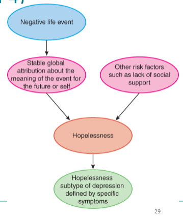 <p>People become depressed when they start to feel <strong>hopeless about the future</strong></p><p>Most important trigger of</p><p>depression is hopelessness</p><p>• Desirable outcomes will</p><p>not occur</p><p>• Person has no ability to</p><p>change situation</p><p></p><p>Due to global or specific causes and stable or unstabe</p>