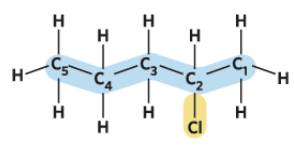 <p>Name</p>