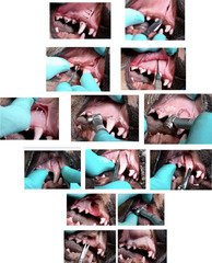 <p>What is this sequence of events indicating?</p>