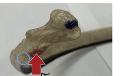 <p>whats the arrow pointing at?</p>