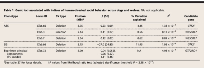 <p>Loci correlated with behavioral indices in dogs and wolves</p><ul><li><p>Cfa6.66 significant in GTF2I</p></li><li><p>Cfa6.72 in GTF2ID1</p></li><li><p>Caf6.3 and Cfab.7 in WBSCR17</p></li></ul><p></p>