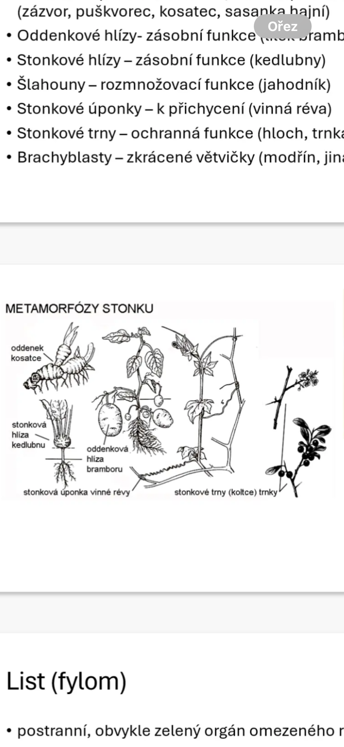 knowt flashcard image