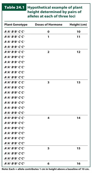 <p>Why can genotype sometimes be inferred from a Mendelian phenotype but not from a complex quantitative phenotype?</p>