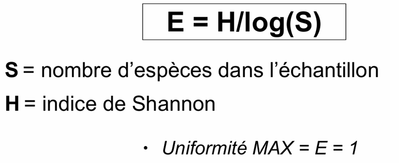<p>L’indice de Pielou mesure l’équitabilité, c’est-à-dire l’équilibre dans la distribution des individus entre les différentes espèces d’une communauté. Il est calculé à partir de l’indice de Shannon et de la richesse spécifique selon la formule :</p><p>E = H/log(S)</p><p>où H' est l’indice de Shannon et S le nombre total d’espèces.</p><p><strong>Interprétation :</strong></p><p>L’indice de Pielou varie entre 0 et 1 :</p><ul><li><p>Une valeur proche de 1 indique que les individus sont répartis de manière très équilibrée entre les espèces, ce qui correspond à une forte uniformité.</p></li><li><p>Une valeur proche de 0 indique qu’une ou quelques espèces dominent la communauté, ce qui correspond à une faible équitabilité.</p></li></ul><p></p>