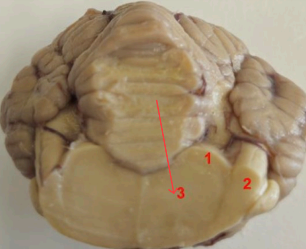 <p>what is this , function? </p>