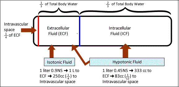 <p><strong>Intracellular fluid (ICF)</strong> is located inside cells, containing high concentrations of</p>