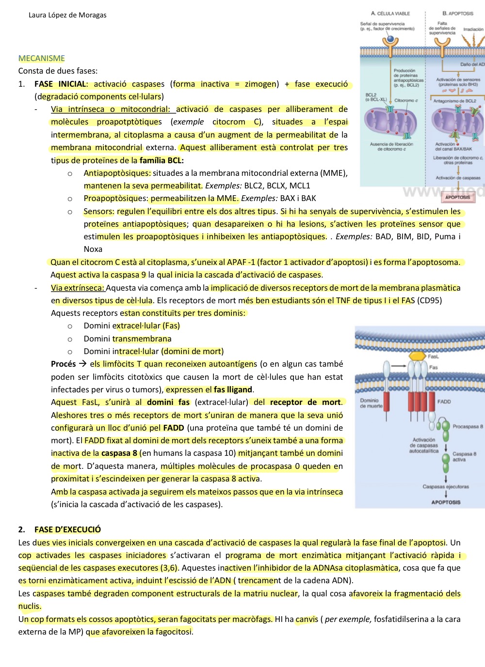 <p>Es la imagen </p>