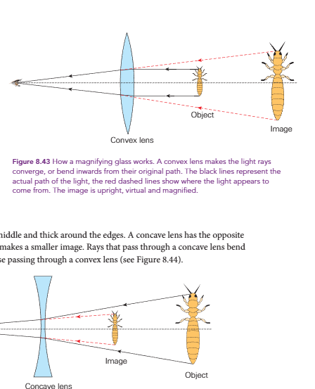 knowt flashcard image