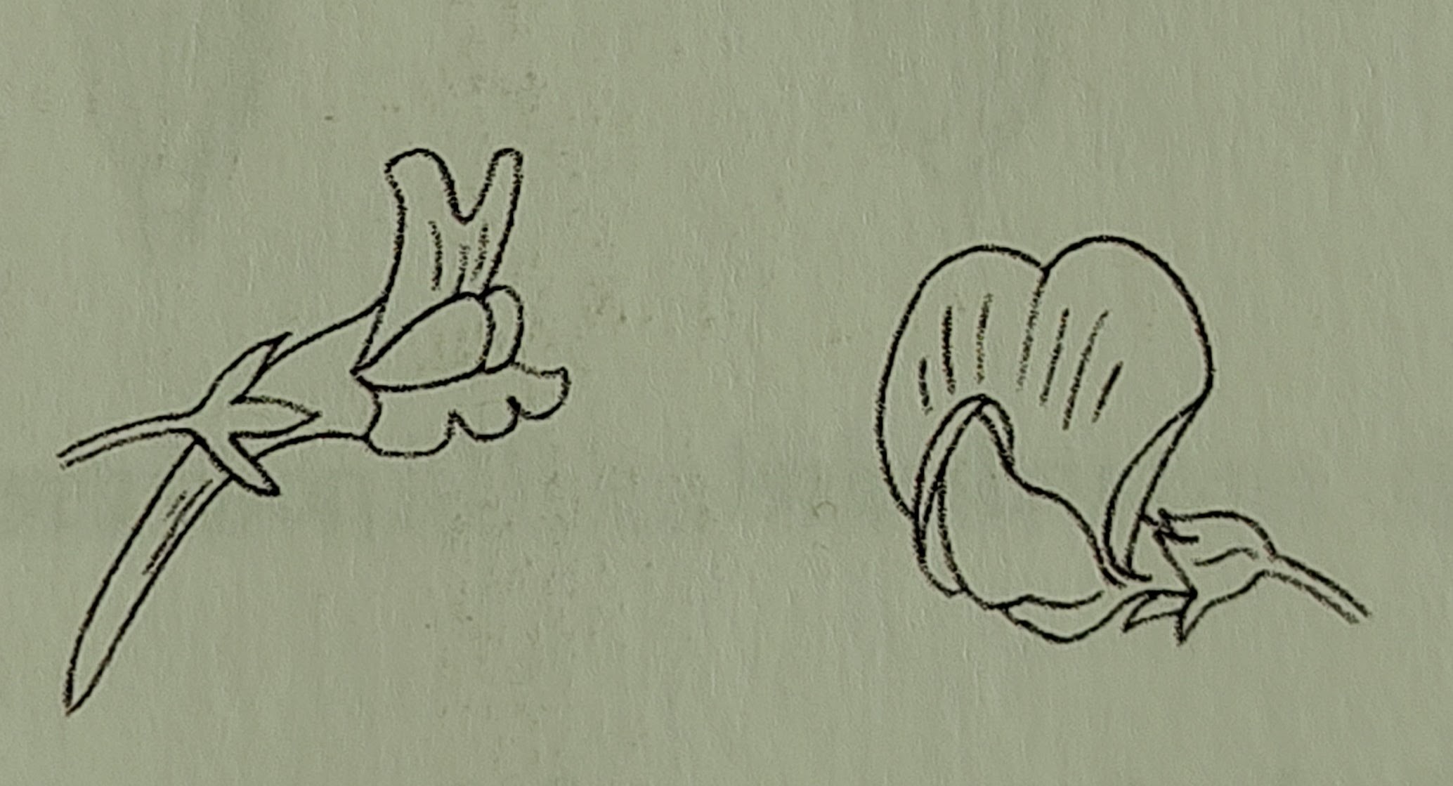 <p></p>