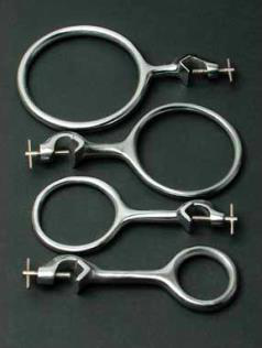 <p>Iron ring</p>