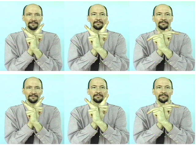 <p><span>The sign for "rabbit" shows two ears flopping.</span><br><span>Use "U" handshapes and bend at the large knuckles twice.</span></p>