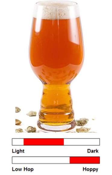 <ul><li><p>Related - ISA, IPL</p></li><li><p>Hoppy/bitter</p></li><li><p>Many IPAs are also citrusy</p></li><li><p>More complex, less approachable</p></li></ul><p></p>
