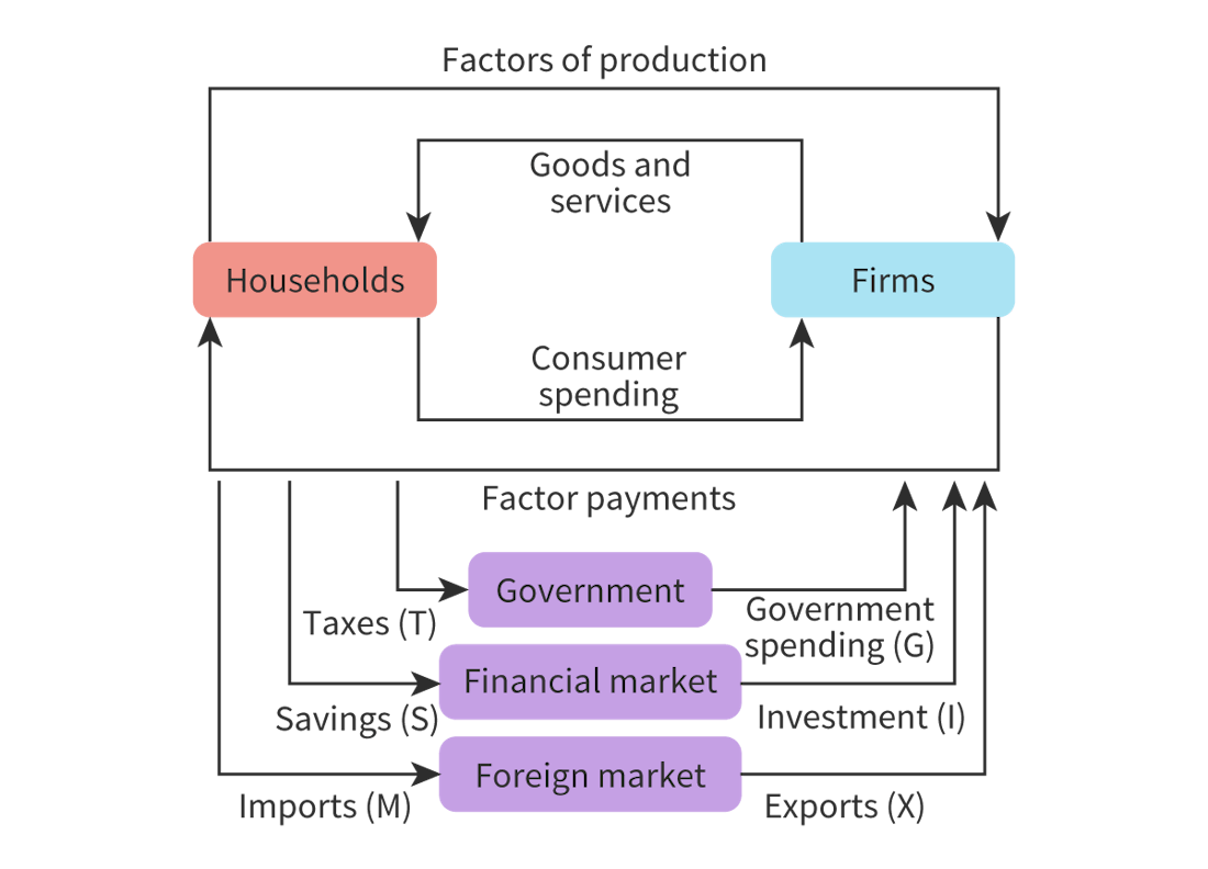 <p>A model that illustrates the interactions between economic agents in an economy</p>