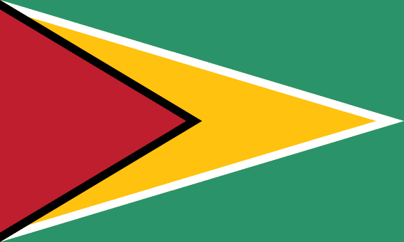 <p> </p>