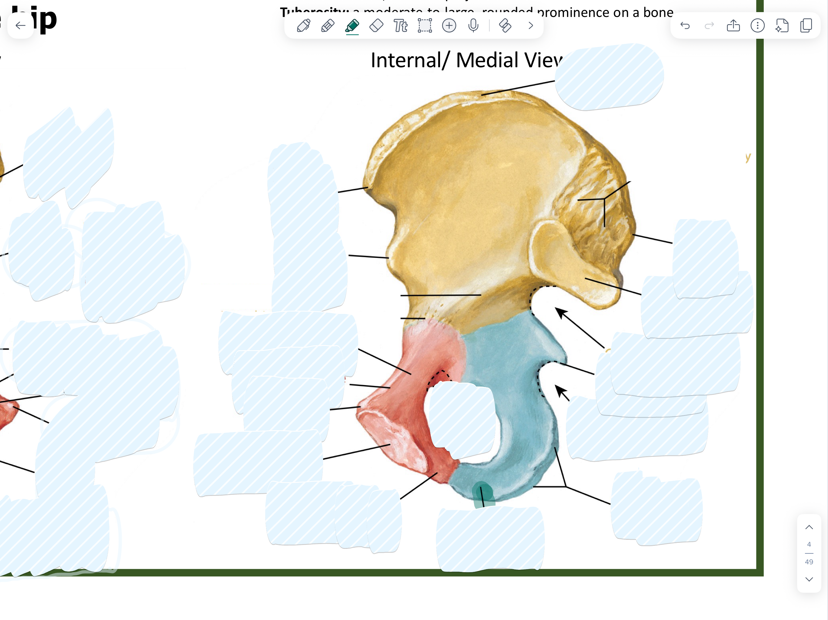 knowt flashcard image
