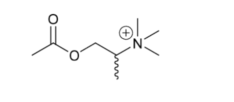 <ul><li><p>not used therapeutically - they aren’t very active, so they bind to one subset </p></li><li><p>Introducing a methyl group into an ach at the alpha position results in a selective nicotinic agonist </p></li><li><p>The way to enhance acetylcholine action is to have an acetylcholine modulator </p></li></ul><p></p>