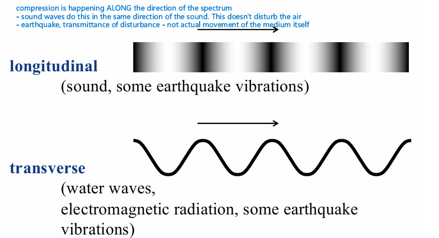 <ol><li><p>Longitudinal</p></li><li><p><strong>Transverse* </strong></p></li></ol><ul><li><p>electric and magnetic field (there is 90 degrees between) </p></li></ul><p></p>