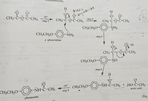 <p>acetic anhydride gets protonated and then p-phenetidine  will come and the amine group will come and attach to the carbonyl carbon, causing the electrons to get pushed up to the oxygen and make it an alcohol. Now the NH2 has a positive charge but then the second carbonyl from the acetic anhydride will come and take it and now that oxygen is protonated. The lone pair from the alcohol of the acetic anhydride will push down and cause the other half of the anhydride to leave and then the electrons will get pushed up to the carbonyl and make it neutra again. Then we get acetic acid and phenacetin.</p>