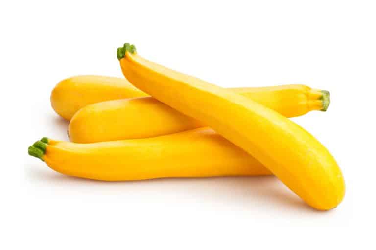 <p>Yellow Squash </p>